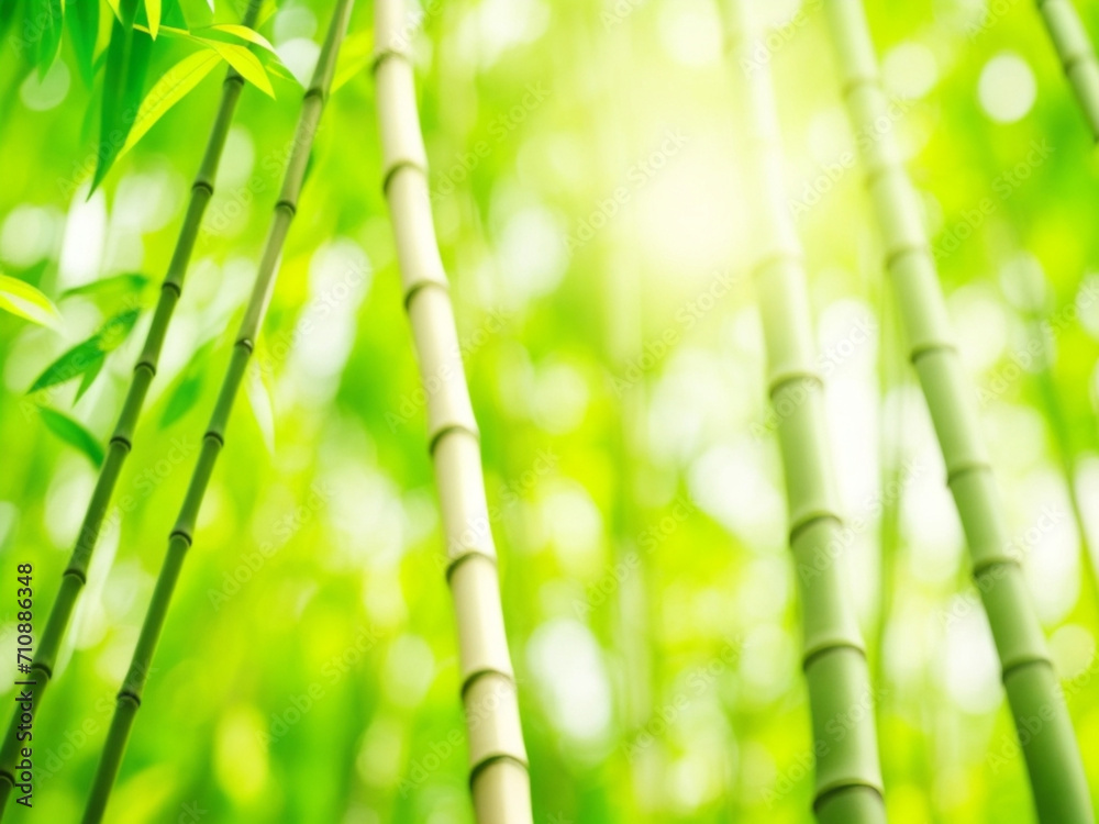 Obraz premium Abstract blur bamboo forest with sunligh ai image 