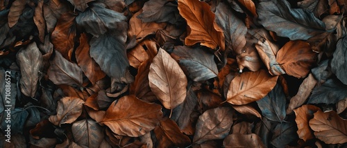 Crumpled Dried Leaves Texture background  Dried Leaves Texture  can be used for website design Backgrounds  Banners  and Sliders. 