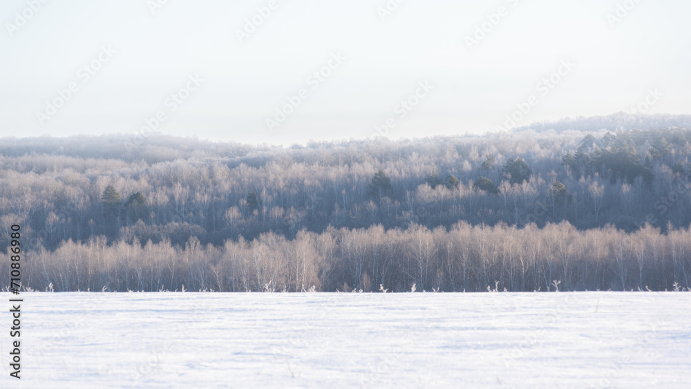 Winter forest and snowfield in the sunlight Winter forest and snowfield in the sunlight