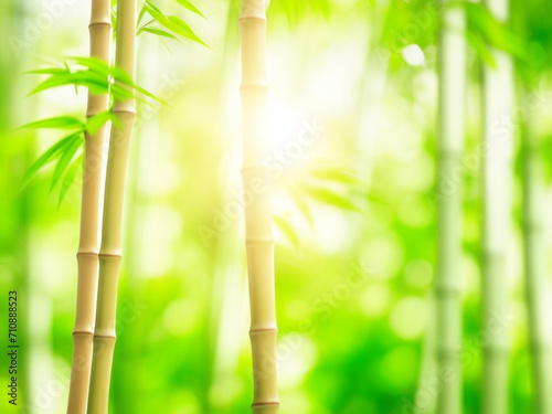Abstract blur bamboo forest with sunlight