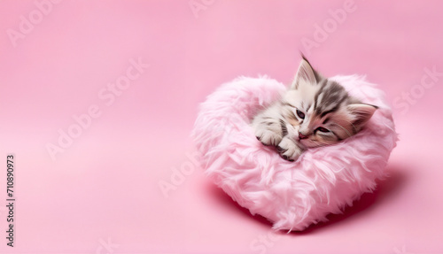 Cute little kitten sleeping in pink fluffy pillow on pink background.