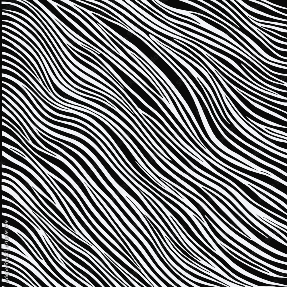 Zebra pattern stripes texture illustration Zebra pattern stripes texture illustration