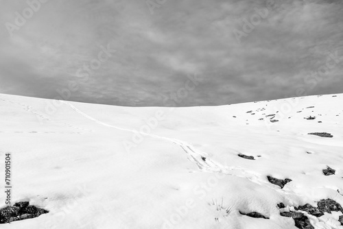 Black and white landscape of snow on a mountain with ski traces. Basque Country of Spain. © LabbePhotography