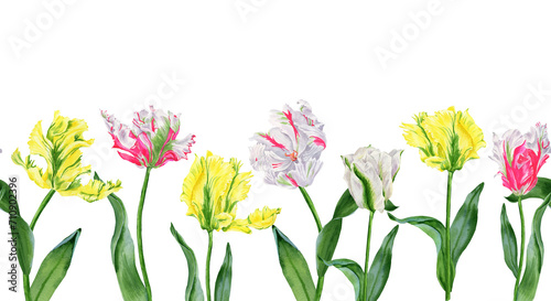 Flower banner. Seamless spring pattern. Watercolor white green tulip with bright pink and yellow. Hand drawn illustration isolated on transparent. © ELENA