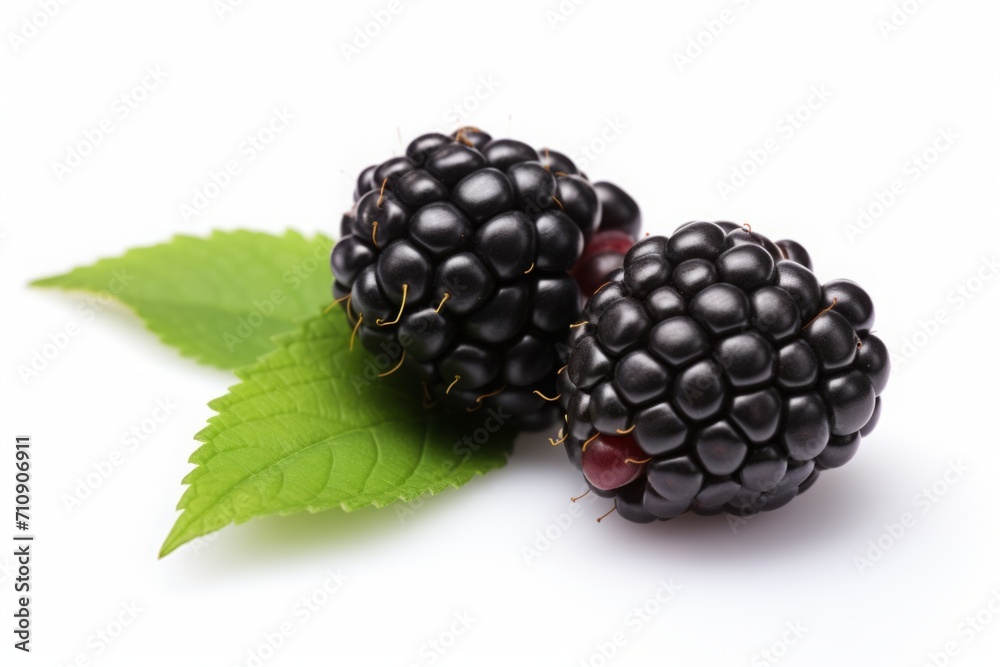 blackberries isolated on a white background. a bunch of black berries with leaves. blackberries isolated on a white background. a bunch of black berries with leaves.