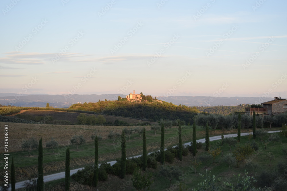 Toscana landscape with vineyard