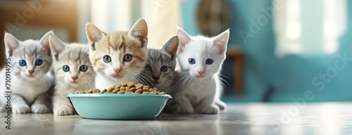 Hungry Kittens Gathered for a Meal. Five cats sit eagerly before a bowl of food, anticipation in their gazes. Domestic pets bliss. Breed nutrition background. Panorama with copy space. photo