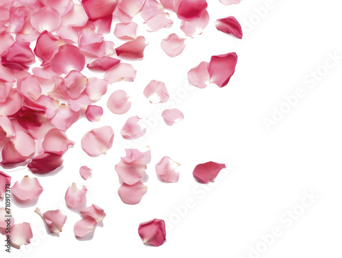 petalos de rosa sobre un fondo transparente, celebración de San Valentin, PNG, photo