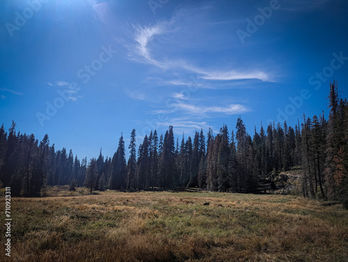 Kings Canyon National Park California