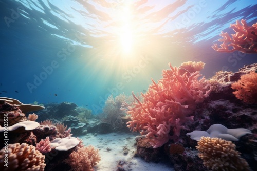 A coral reef in the ocean, creating a serene background wallpaper