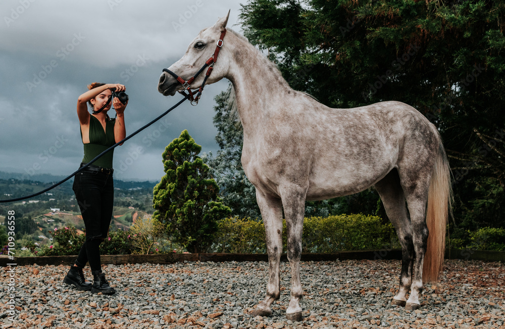 Portrait photography of purebred horses in landscape Portrait photography of purebred horses in landscape