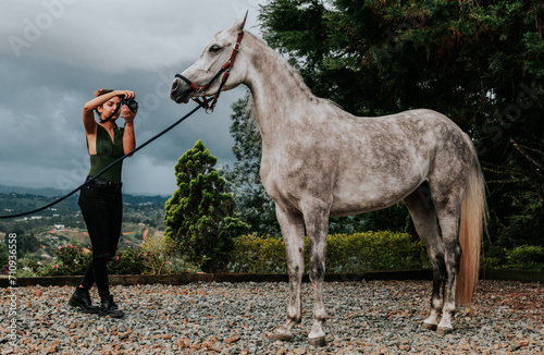 Portrait photography of purebred horses in landscape