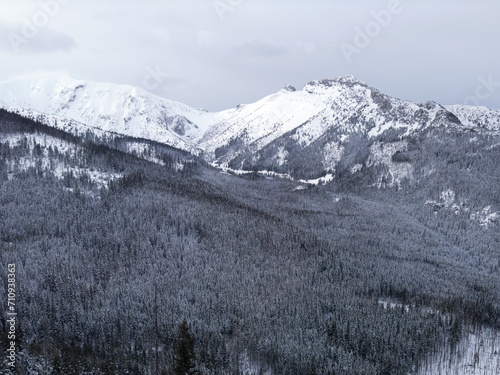 Landscape of the snowy mountain in winter with snowy forest. Foggy grey cloudy weather without sun.