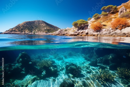 A picturesque bay with colorful corals and marine life