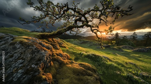 Sunlight coming through an impending storm. 