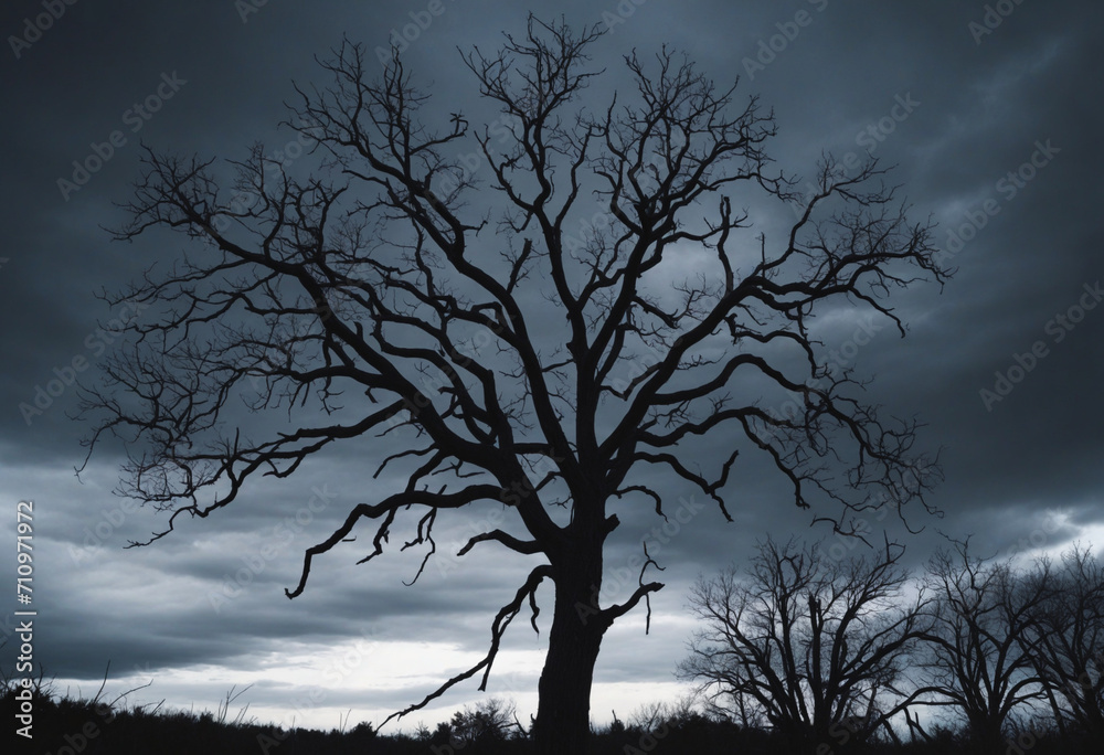 Silhouette of a Leafless Tree Against a Dark Sky for a Spooky, Halloween Atmosphere Silhouette of a Leafless Tree Against a Dark Sky for a Spooky, Halloween Atmosphere