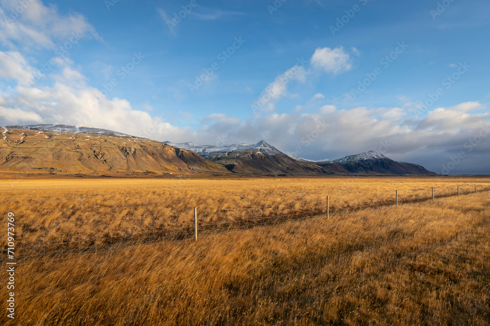 paysage islandais 