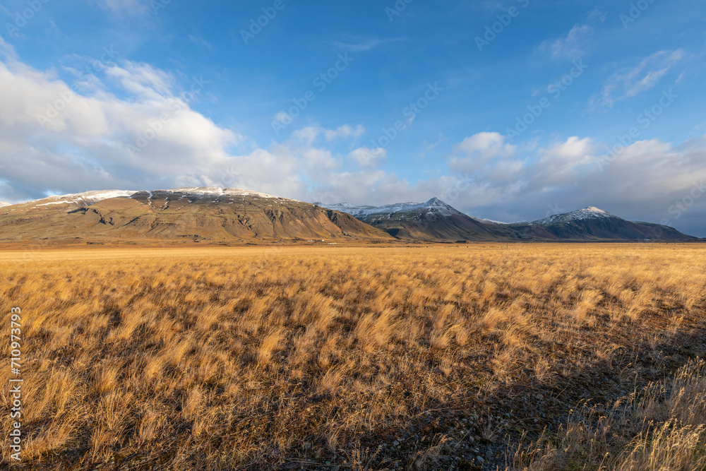 paysage islandais 