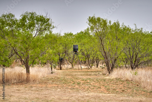 Black tripod drum wildlife feeder standing in open area in Texas mesquite tree forest