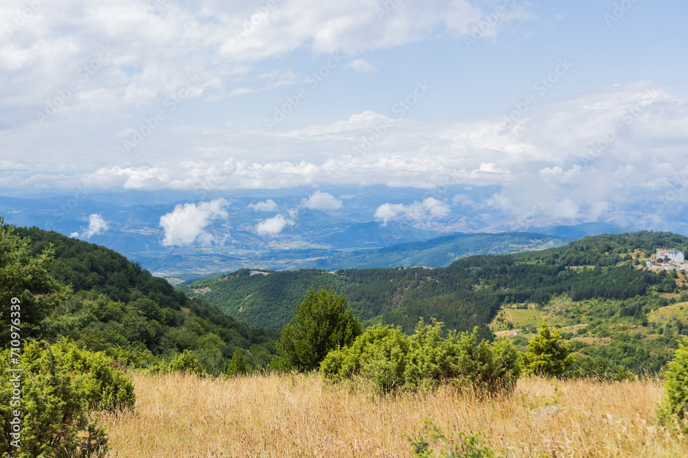 Scenic summer nature landscape with lush greenery and blue skies with clouds.