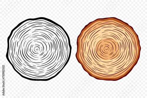 Tree Rings, Oak and Pine Slices, Lumber, and Timber Cross Section with Saw Cut Detail. Tree Trunk, Wood Log, Pine, Oak Slices, Lumber, Cut Timber. Hand Drawn, Design Element photo