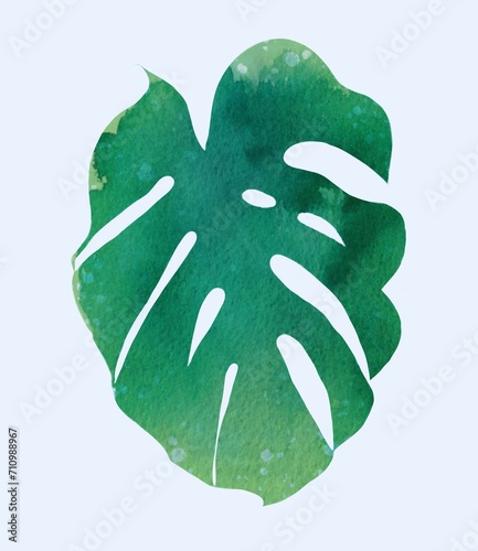 Watercolor monstera leaf