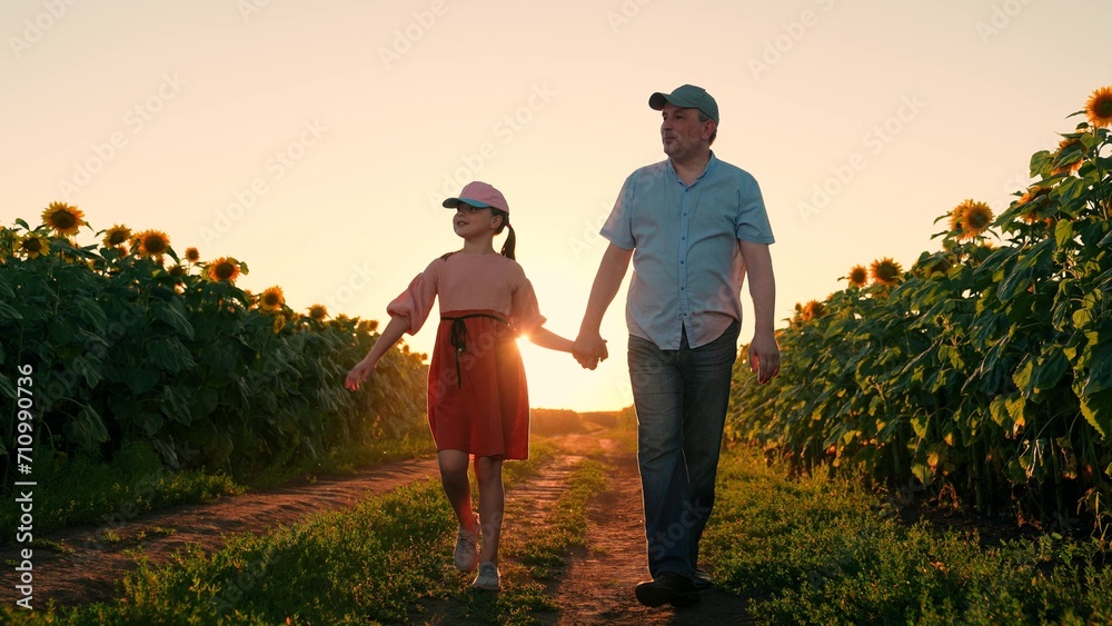 Happy family, father, daughter, child walking through sunflower field, summer. Family business, farmers. Farmer father working in sunflower field with child. Dad, child grows sunflower seeds. Sunset
