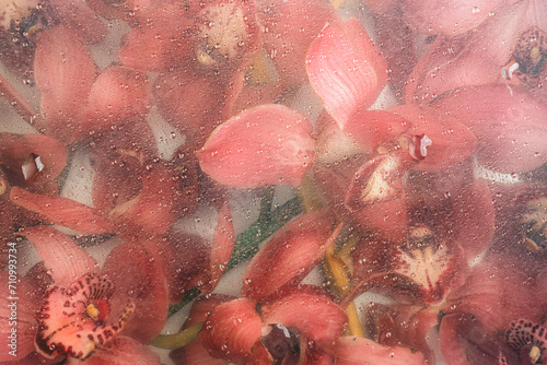 Orchid flowers behind glass with water drops. Red flower background. Abstract floral pattern