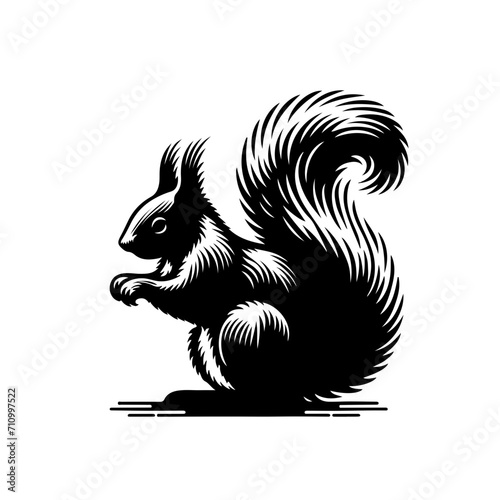American Red Squirrel Vector Logo Art photo
