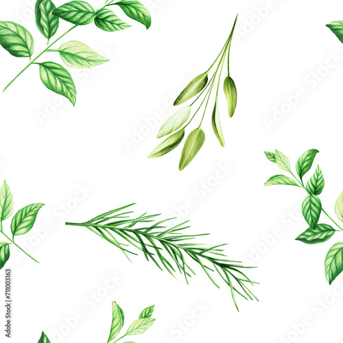 Watercolor seamless pattern with aromatic herbs. Illustrations of fresh rosemary  mint  sage isolated on background. Detail of beauty products and botany set  cosmetology and medicine. For design