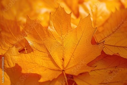 A close-up view of a bunch of vibrant yellow leaves. Perfect for autumn-themed designs and nature-related projects
