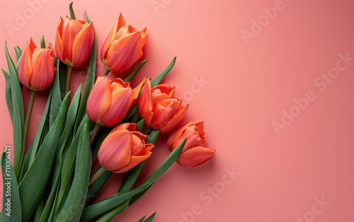 Tulips flower banner, March...