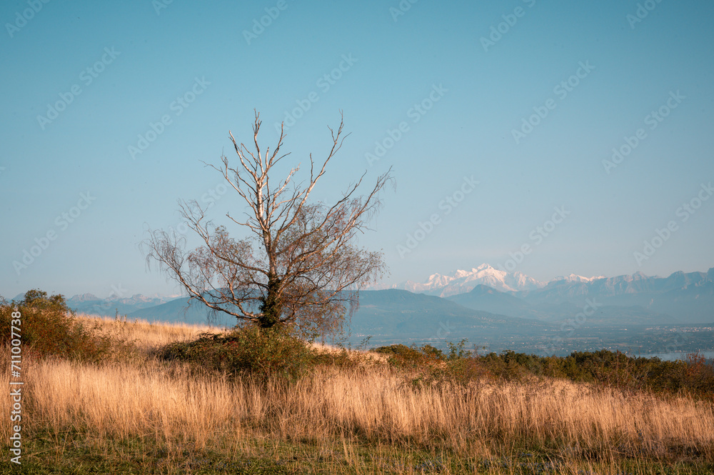 Fototapeta premium Vue sur les alpes depuis le mont Mourex, Ain ,France