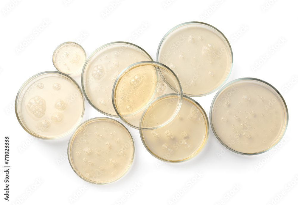 Petri dishes with color liquid samples on white background, top view Petri dishes with color liquid samples on white background, top view
