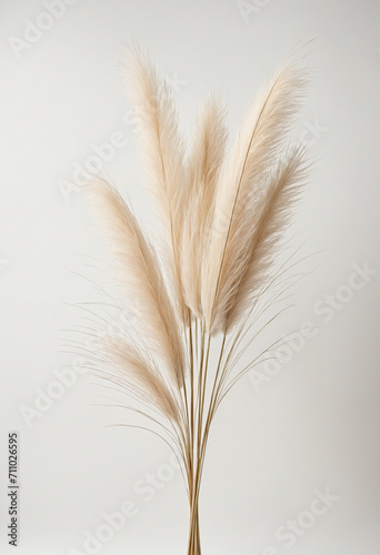 Minimalist Pampas Grass Flat Lay with Copy Space