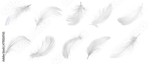 Light feathers isolated on white, collection. Plumage
