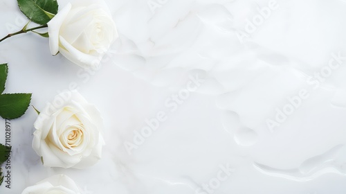 floral white roses background illustration flowers nature, garden petals, beauty elegant floral white roses background