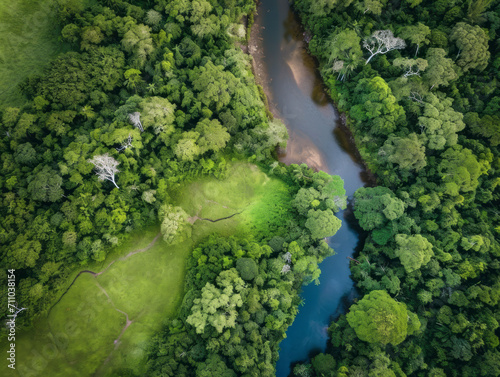 Aerial view of a small river in the middle of a forest
