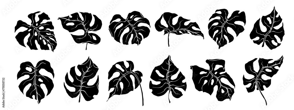 Set of silhouettes,doodles of tropical monstera leaves.Vector graphics.