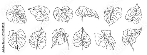 Set of sketches, doodles of tropical monstera leaves.Vector graphics.