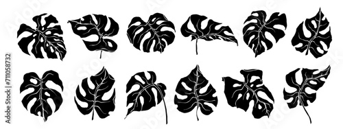 Set of silhouettes,doodles of tropical monstera leaves.Vector graphics.