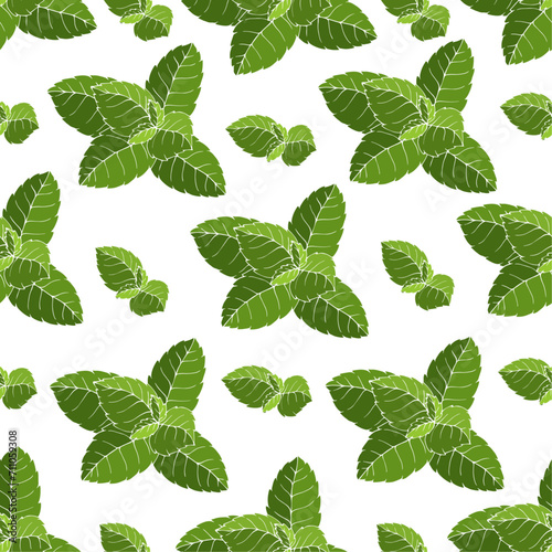 Seamless pattern with green mint leaves.Vector graphics. 