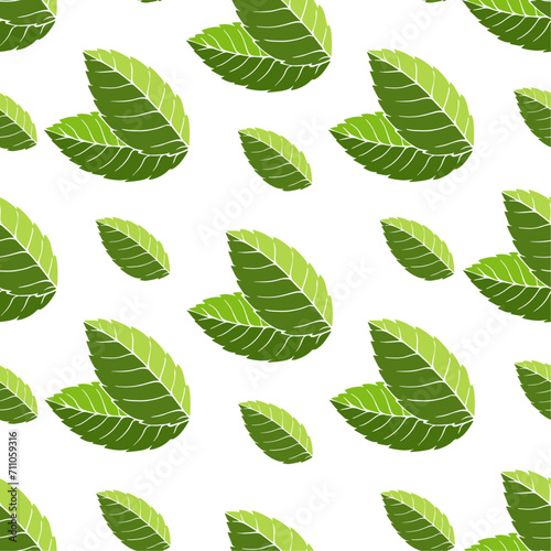 Seamless pattern with green mint leaves.Vector graphics.	