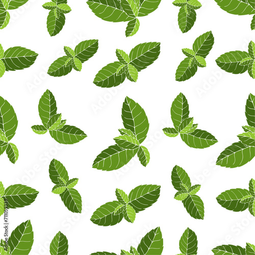 Seamless pattern with green mint leaves.Vector graphics.	