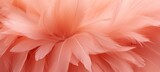Fashionable Peach soft feather texture. Background. Trendy color. Concept of Softness, Comfort and Luxury. Ideal for a backdrop, Fashion, Textile, Interior Design. Furry surface.