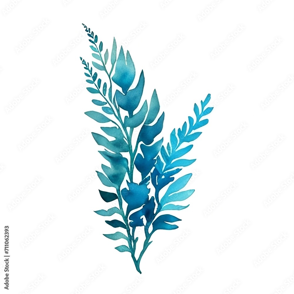 Algae seaweed watercolor illustration on white background. Algae seaweed watercolor illustration on white background.
