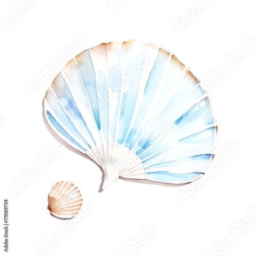 Scallop watercolor on white background.