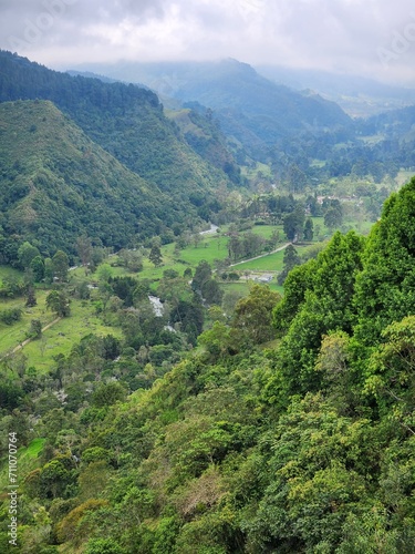 naturaleza
