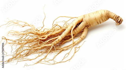 Full ginseng plant root lying on white background. Generative