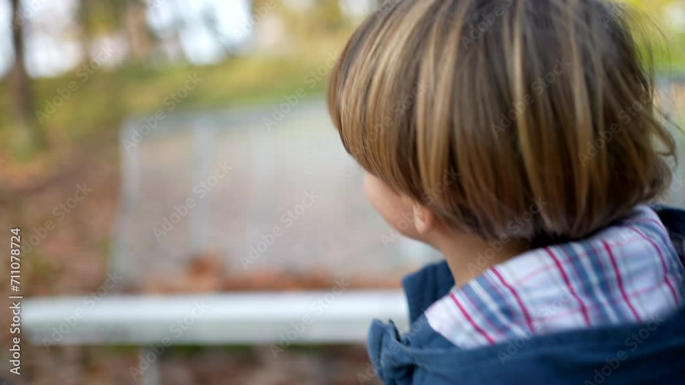 One small 3 year old boy walking outside at sunny park during autumn fall season. Child wearing blue jacket exploring nature strolling outdoors One small 3 year old boy walking outside at sunny park during autumn fall season. Child wearing blue jacket exploring nature strolling outdoors